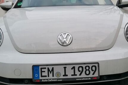 VW Beetle
