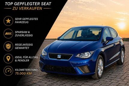 Seat Ibiza 98.000 km 10.700 &euro; Kirchworbis 37339