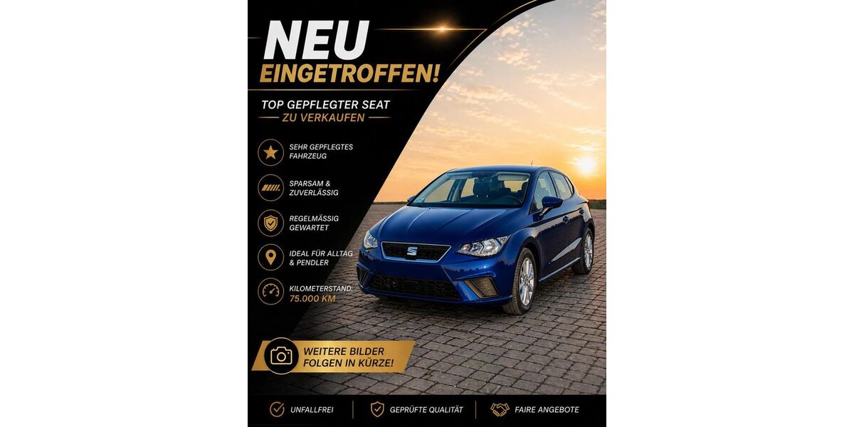 Seat Ibiza 98.000 km 10.700 &euro; Kirchworbis 37339