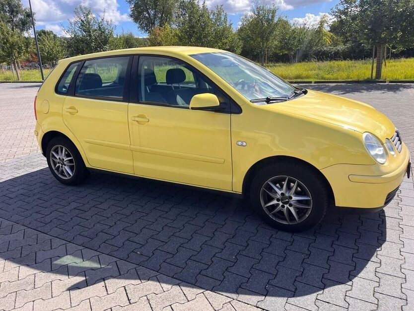 Polo