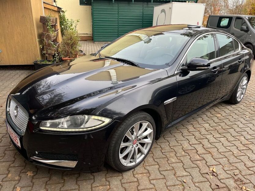XF