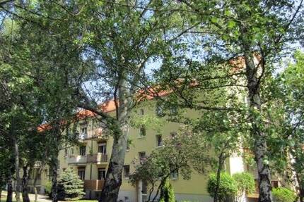 Schöne Wohnung mit Balkon in saniertem Wohnhaus in grüner Ruhiglage - Erdgeschoss 2 zimmer