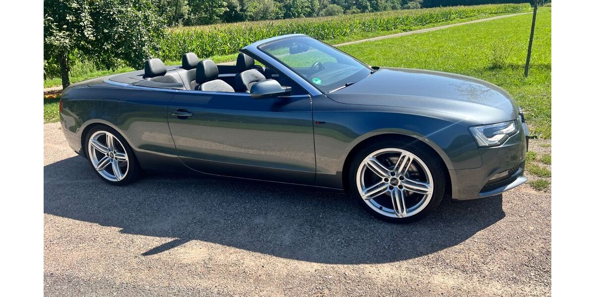 Audi Cabriolet 76.895 km 16.899 &euro; Blumberg 78176