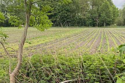 Sonstige Ismaning - 159.000&euro; | Angebot:24519395