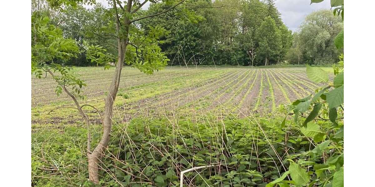 Sonstige Ismaning - 159.000&euro; | Angebot:24519395