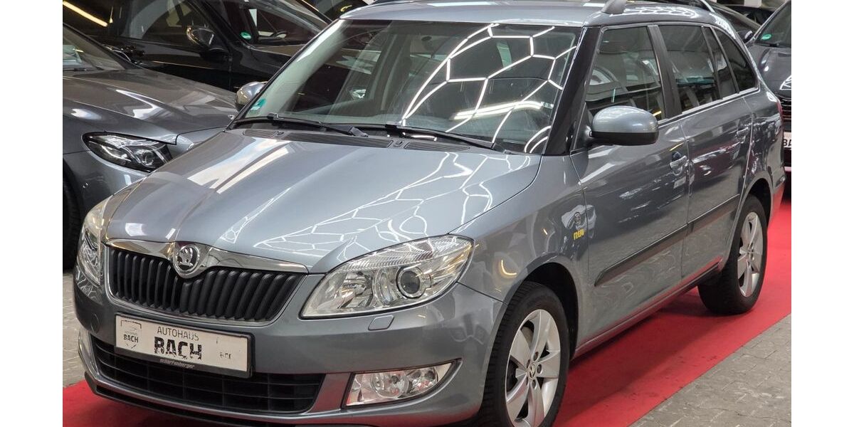 Skoda Fabia 165.632 km 4.799 &euro; Remshalden 73630