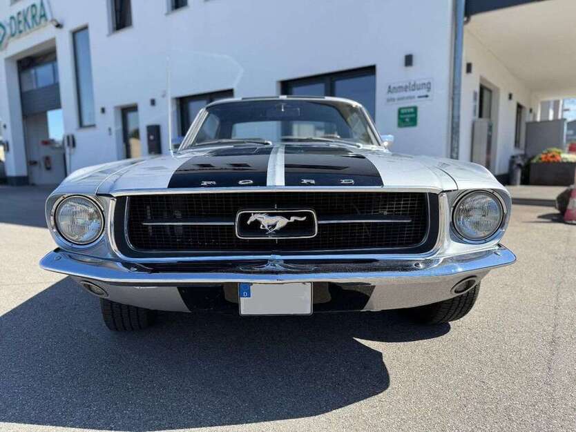 Mustang