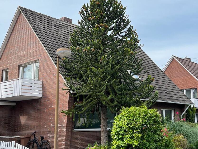 Großzügiges Einfamilienhaus zentral und ruhig gelegen