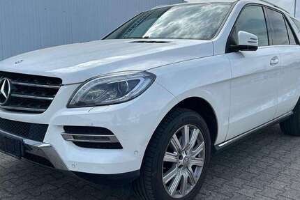 Mercedes-Benz ML 250 189.000 km 16.490 &euro; Bad Säckingen 79713