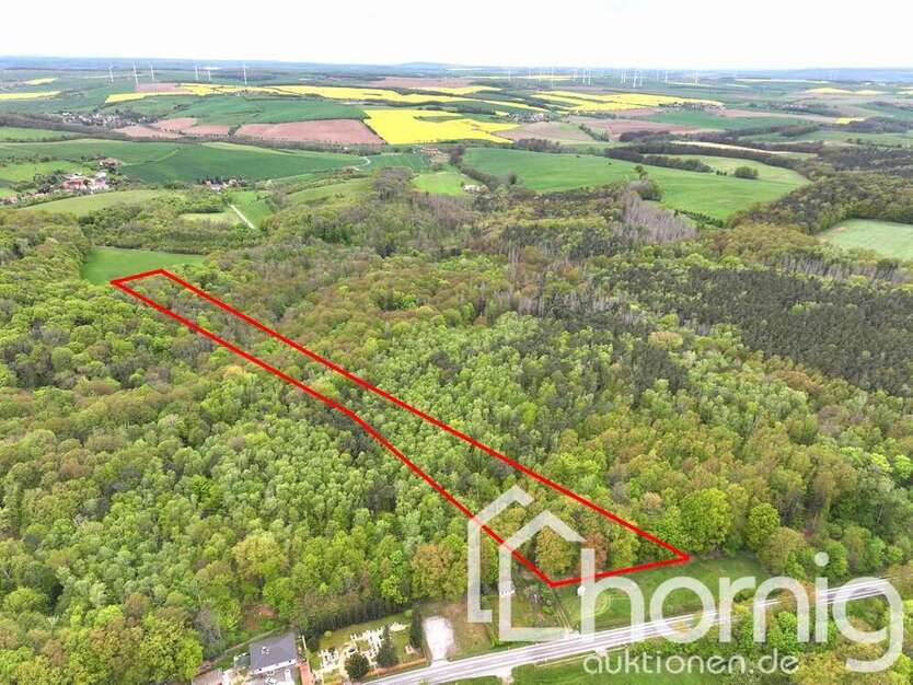 Grundstück in Gösen 35.000 € 24085 m²
