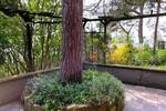 Bungalow Meesiger - 2 Zimmer, 35 m&sup2;, 50.000&euro; | Angebot:26155195