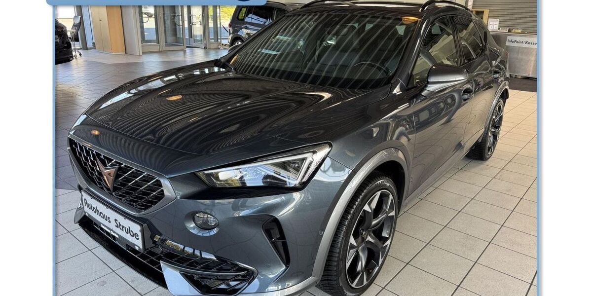 Cupra Formentor 131.742 km 22.450 &euro; Salzgitter 38226