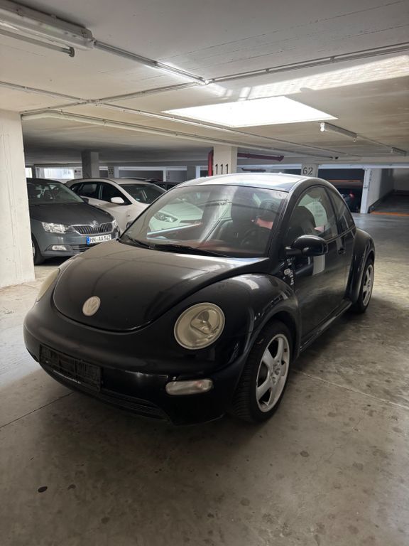 Beetle