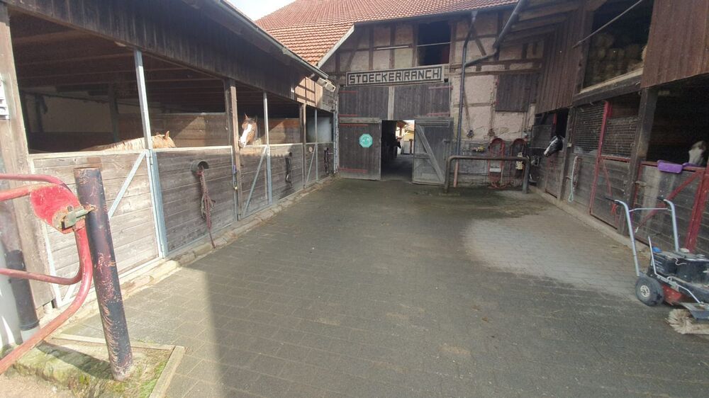 Attraktiver Reiterhof mit vielseitigem Nutzungspotenzial - Einfamilienhaus Bad Neustadt Brendlorenzen | Angebot:27054184