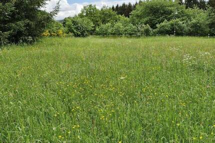 Grundstück Prüm - Weinsfeld Niederprüm - 91.000&euro; | Angebot:22275849