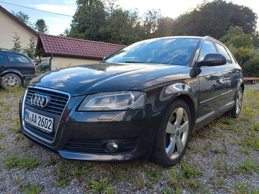 A3