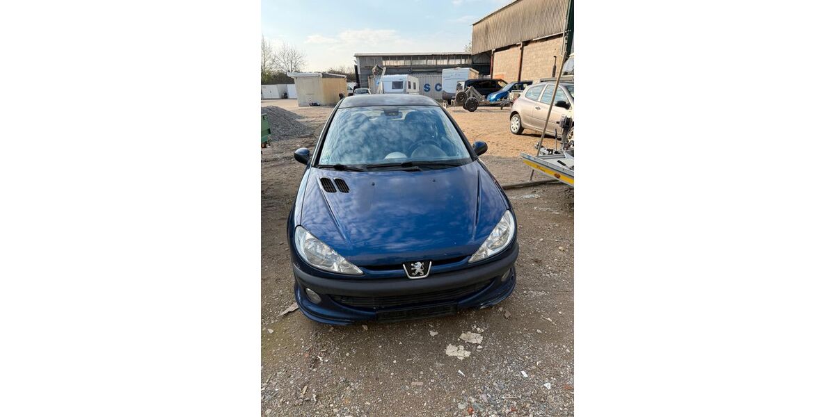 Peugeot 206 220.000 km 1.899 &euro; Bensheim 64625