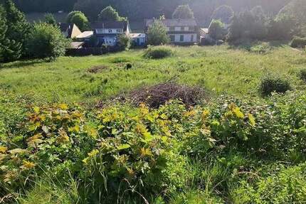 Grundstück Burladingen - 125.000&euro; | Angebot:24532787