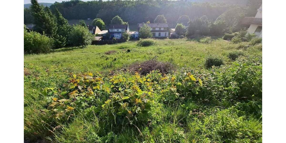 Grundstück Burladingen - 125.000&euro; | Angebot:24532787