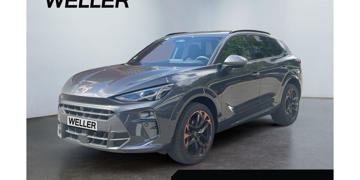 Cupra Terramar 19.000 km 42.500 &euro; Bremen 28205