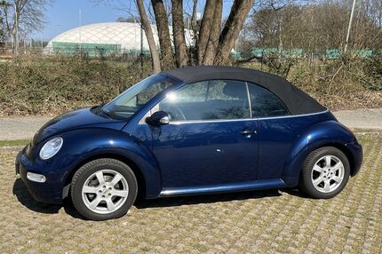 VW Beetle