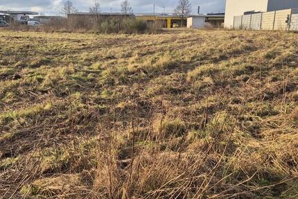 Vermiete Freifläche ca. 2.000 m² im Industriegebiet Saarwellingen zimmer