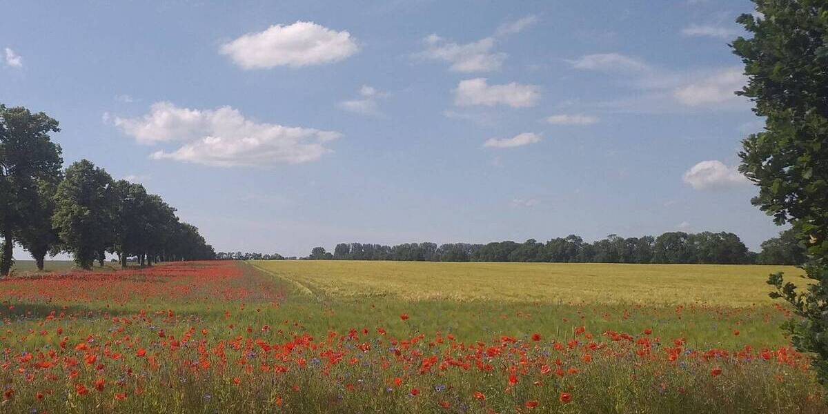 Grundstück Fehrbellin Hakenberg - 95.000&euro; | Angebot:25773092