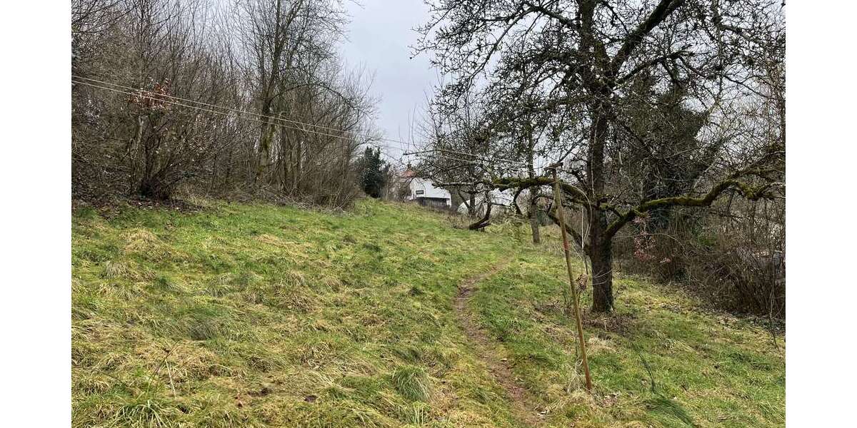 Grundstück zu verkaufen in Winterbach (Pfalz) 50.000 € 998 m² zimmer