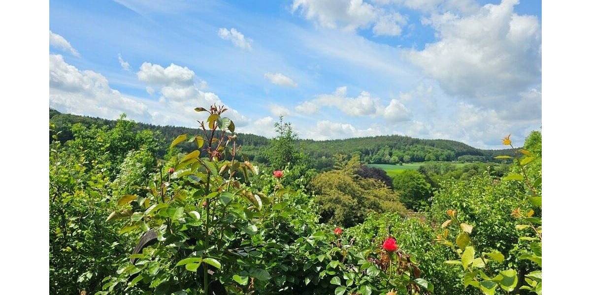 Mehrfamilienhaus, Wohnhaus Höchst i. Odw. Höchst - 9 Zimmer, 248 m&sup2;, 572.000&euro; | Angebot:26731440