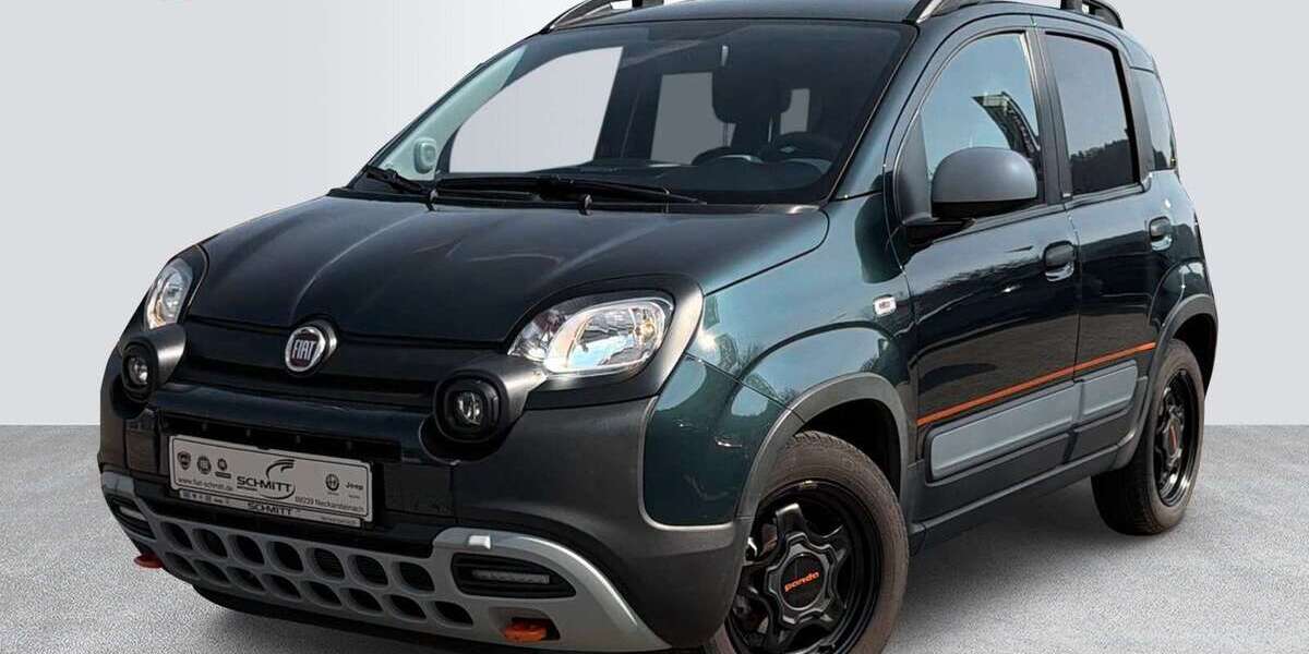 Fiat Panda 36.000 km 12.990 &euro; Neckarsteinach 69239