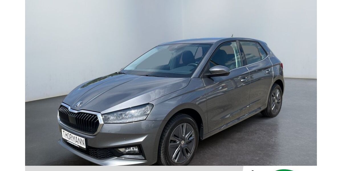 Skoda Fabia 45.244 km 19.580 &euro; Stendal 39576