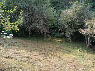 IDYLLISCH, VIEL PLATZ FÜR IHR PROJEKT - Grundstück Merzig | Angebot:26270527