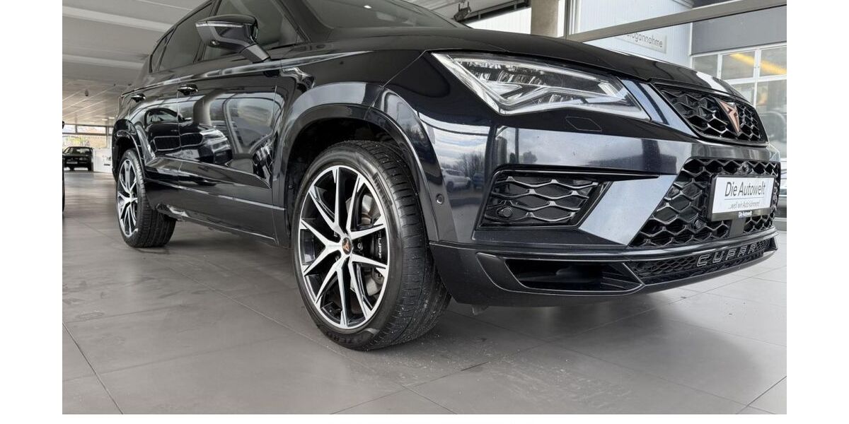 Cupra Ateca 159.250 km 20.980 &euro; Rheinfelden (Baden) (Rheinfelden) 79618