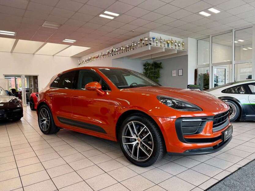 Macan