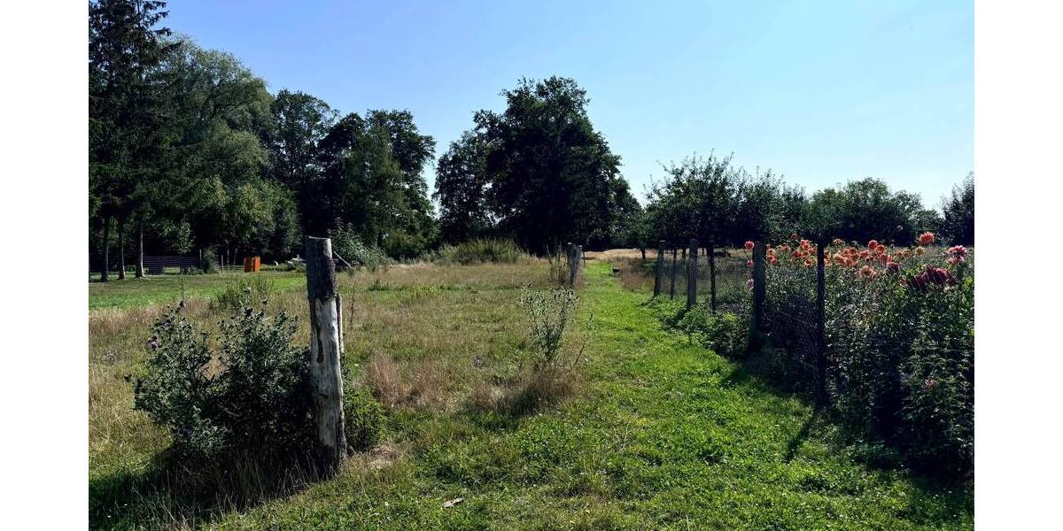 Grundstück Werben (Elbe) Behrendorf - 20.000&euro; | Angebot:19285916