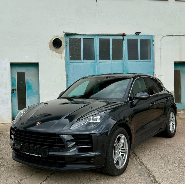Macan