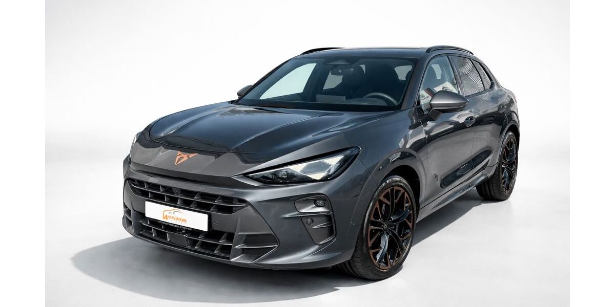 Cupra Terramar 3.500 km 46.190 &euro; Rosenheim 83022