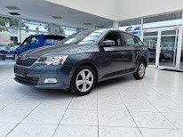 Skoda Fabia 113.403 km 9.360 &euro; Neuruppin 16816