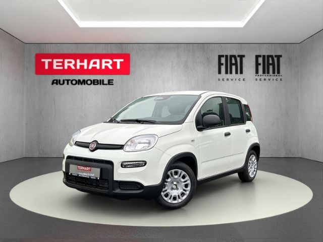 Fiat Panda 5.999 km 14.987 € Stadtlohn 48703