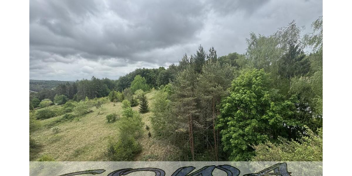 Ausblick und Natur - Bezugsfreie 3 Zimmerwohnung in Riedenburg - Geislhof - Ein Objekt von Ihrem Immobilienpartner SOWA Immobilien und Finanzen - 3- Riedenburg | Angebot:26719744