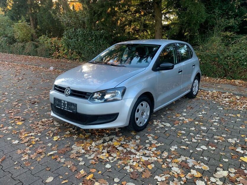 Polo