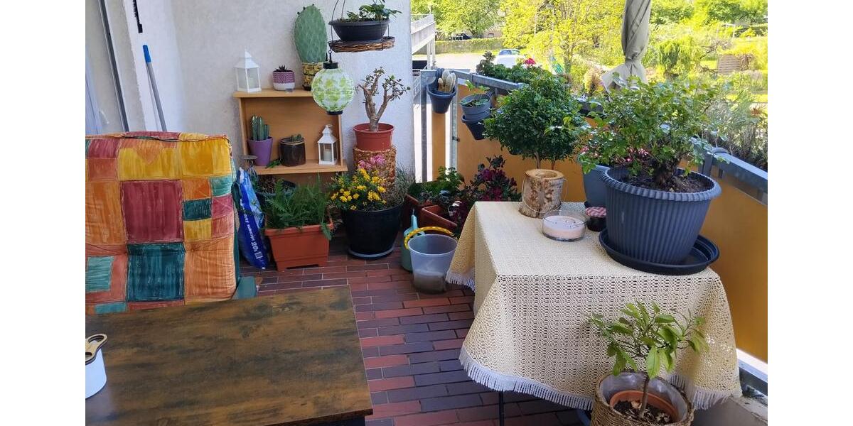 Etagenwohnung Bischofswerda - 2 Zimmer, 79 m&sup2;, 490&euro; | Angebot:26578295