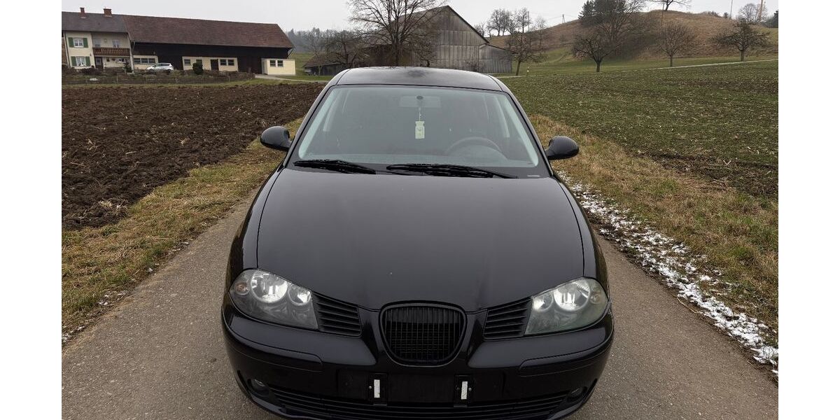 Seat Ibiza 178.973 km 1.850 &euro; Hilzingen 78247