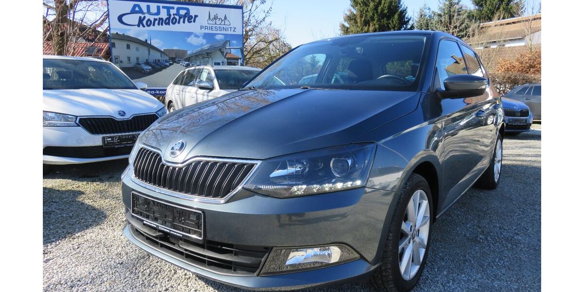 Skoda Fabia 98.800 km 9.950 &euro; Prießnitz 04654