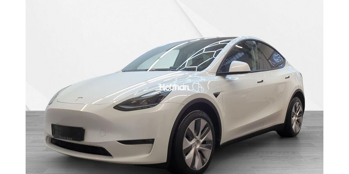 Tesla Model Y 93.966 km 31.402 &euro; Eschborn 65760