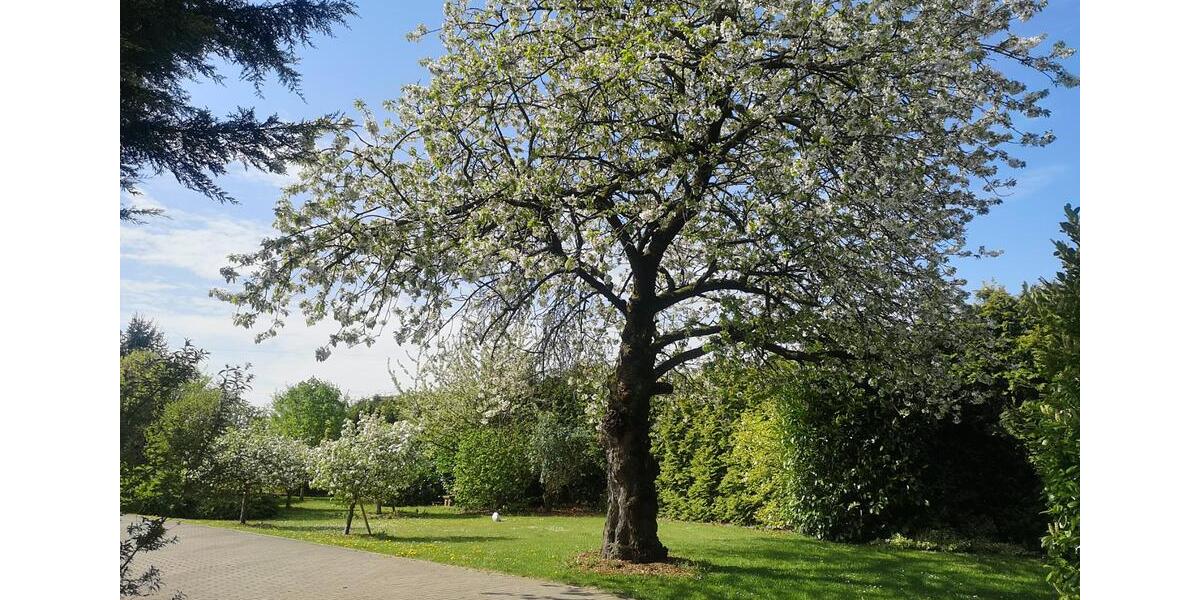 2 12 Familienhaus im Grünen zimmer