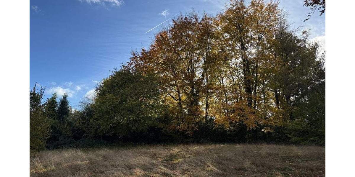 Grundstück Roetgen Rott - 230.000&euro; | Angebot:23464940