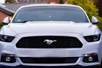 Ford Mustang 90.000 km 27.400 &euro; Wehrheim 61273