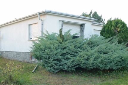 Wohnen auf einer Ebene im Bungalow - Haus Bernsdorf | Angebot:24486610