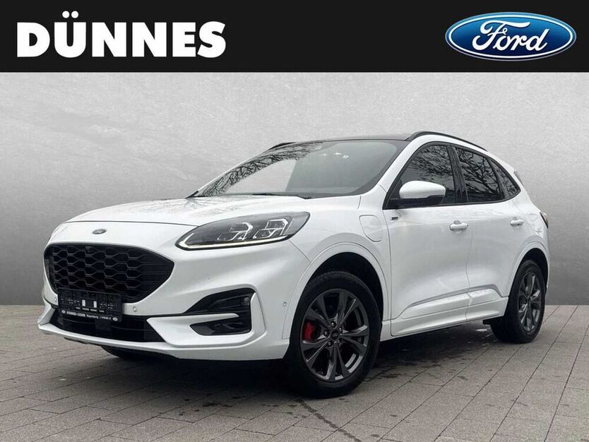 Kuga